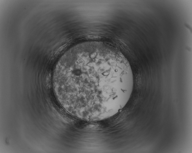 X0000100490364200807031922