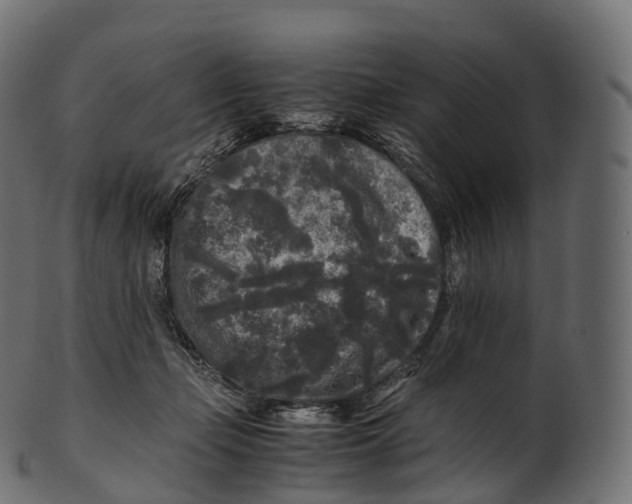 X0000100490365200807031922