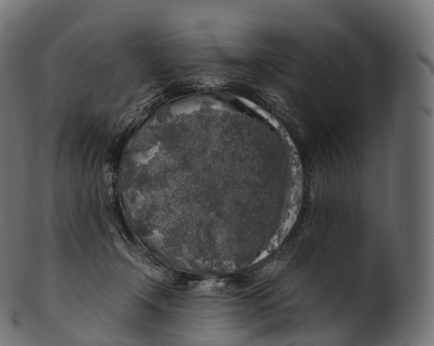 X0000100490366200807031922