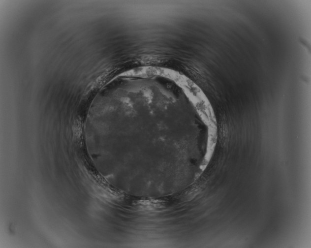 X0000100490367200807031922