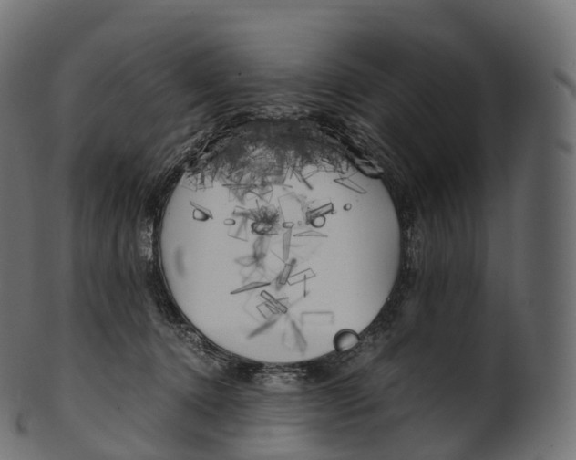 X0000100490368200807031922