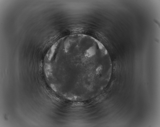 X0000100490369200807031922