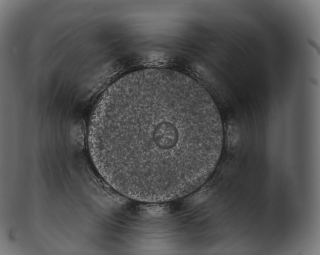 X0000100490370200807031922