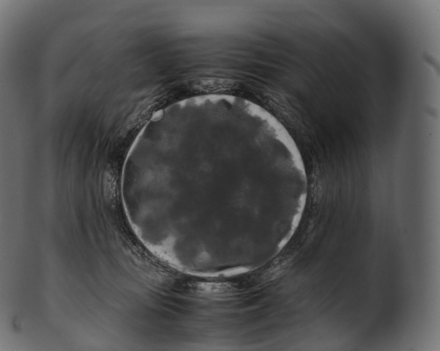 X0000100490371200807031922