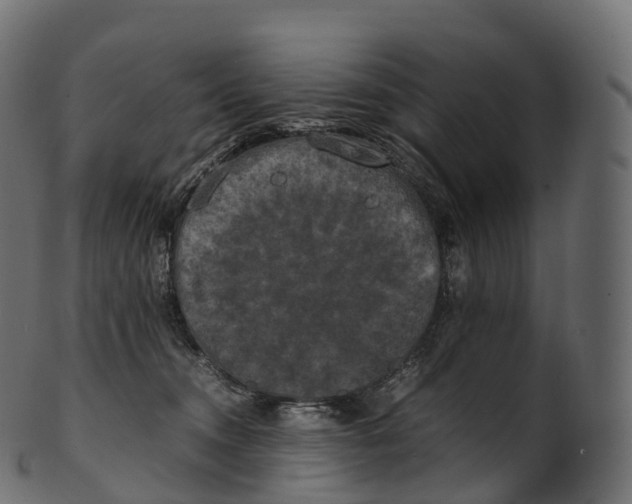 X0000100490372200807031922