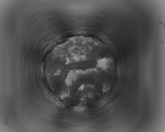 X0000100490373200807031922