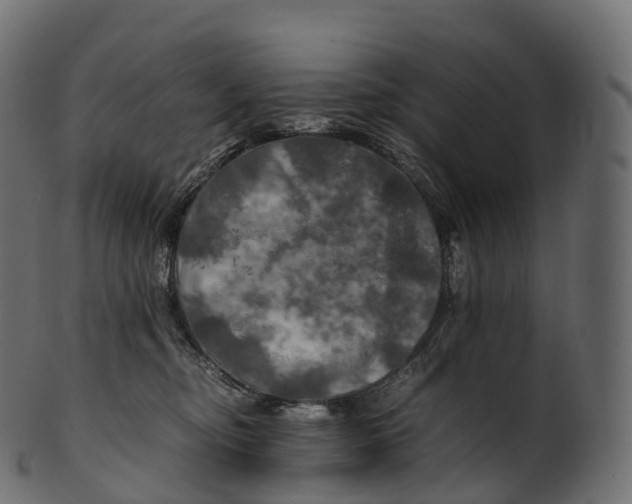 X0000100490374200807031922