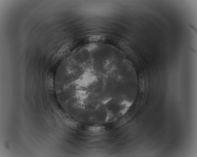 X0000100490375200807031922