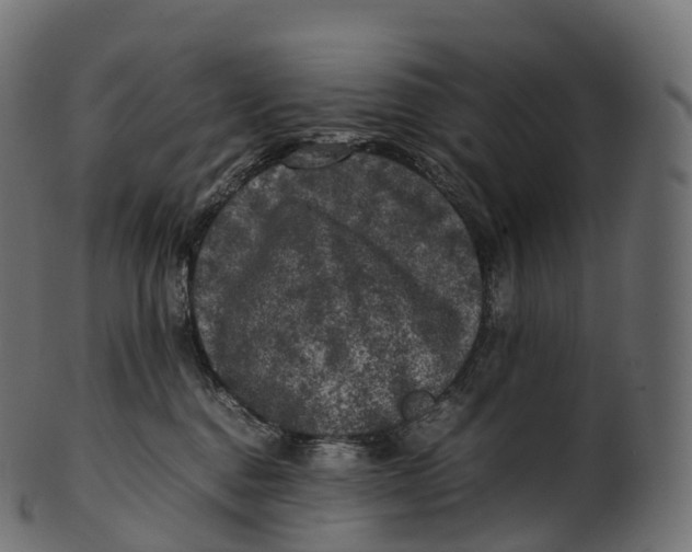 X0000100490376200807031922