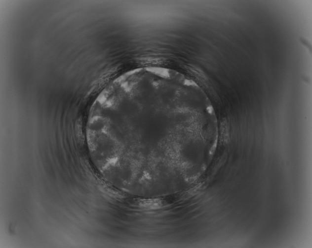 X0000100490377200807031922