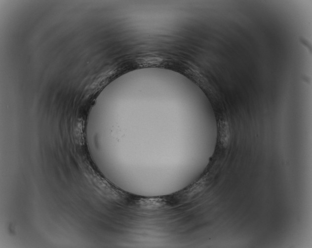 X0000100490378200807031922