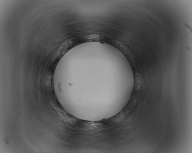 X0000100490379200807031922