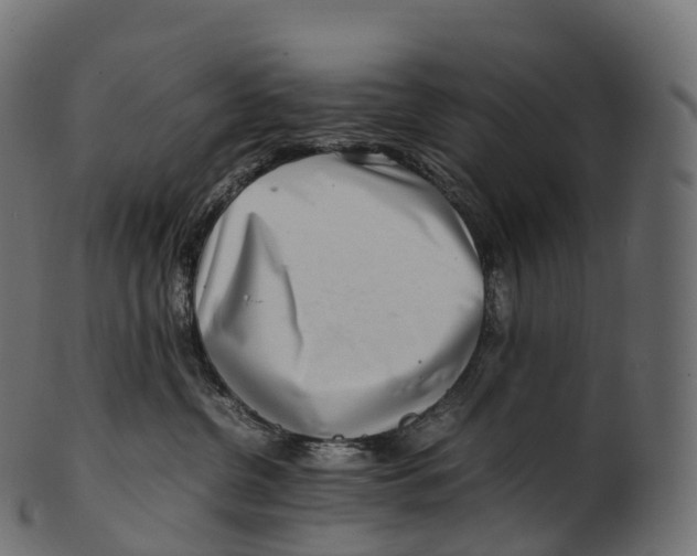 X0000100490380200807031922