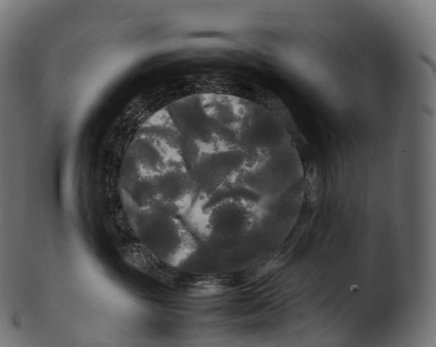 X0000100490381200807031922