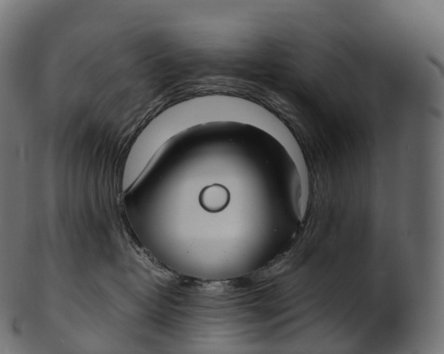 X0000100490382200807031922