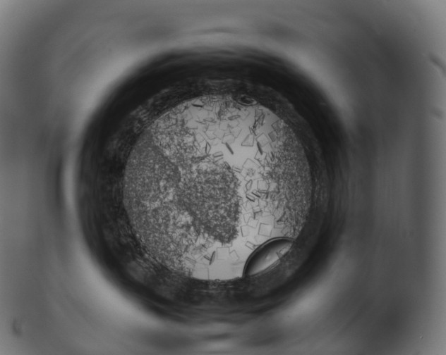 X0000100490383200807031922