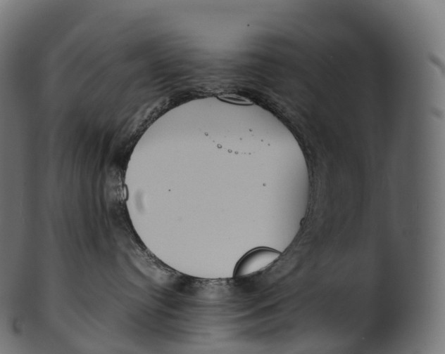 X0000100490384200807031922