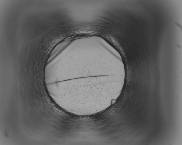 X0000100490385200807031921