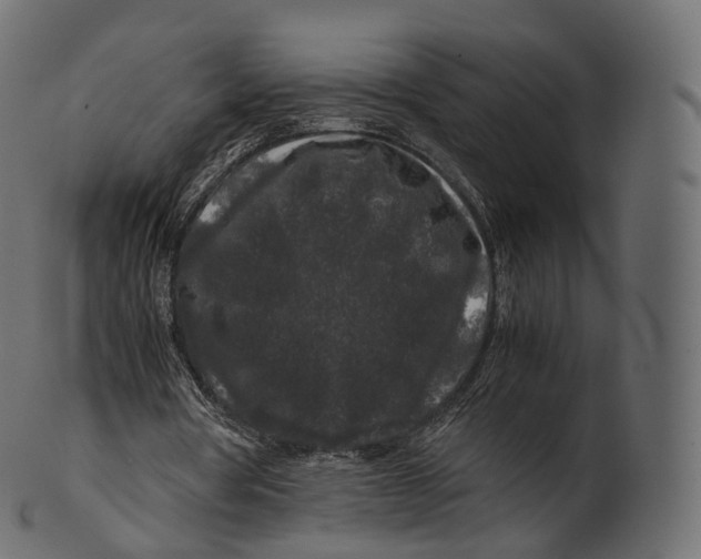 X0000100490386200807031921