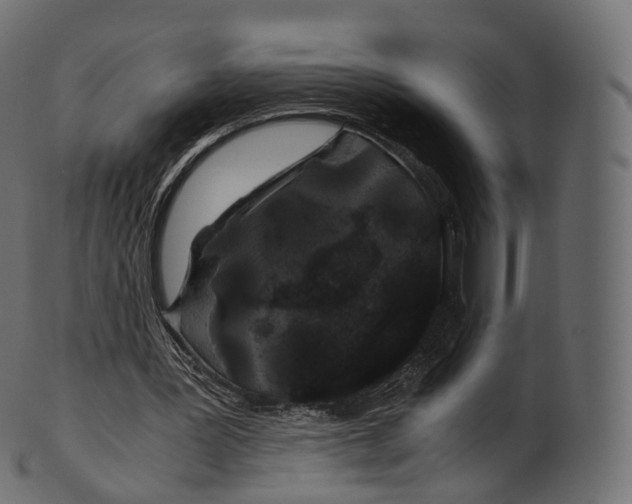 X0000100490387200807031921