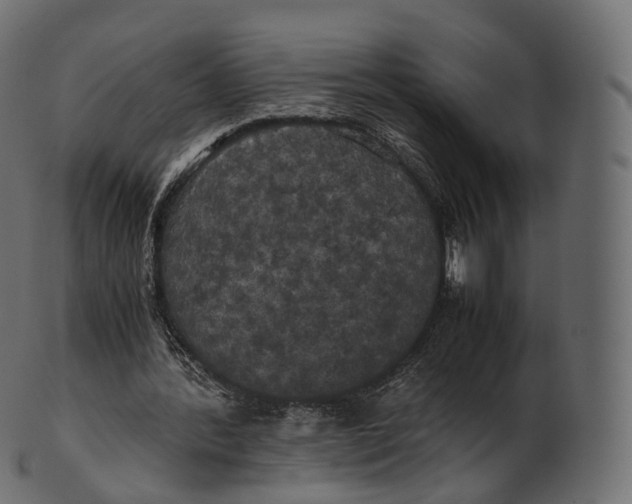 X0000100490388200807031921