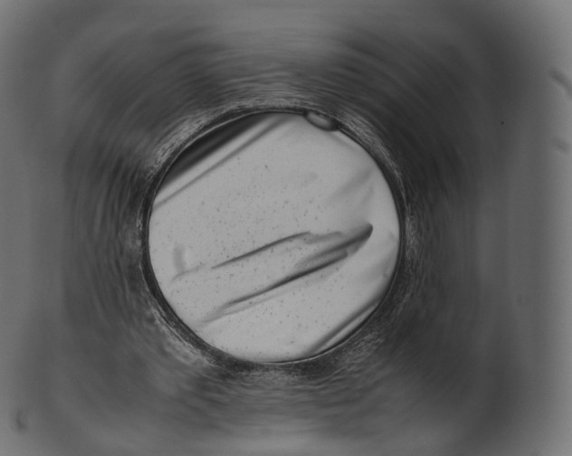 X0000100490389200807031921