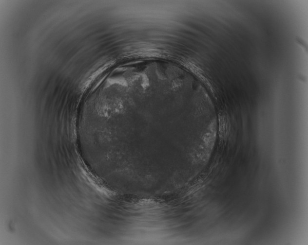 X0000100490390200807031921