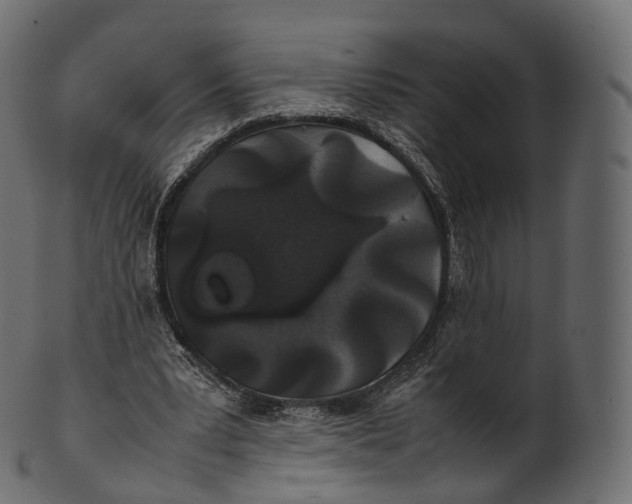 X0000100490391200807031921