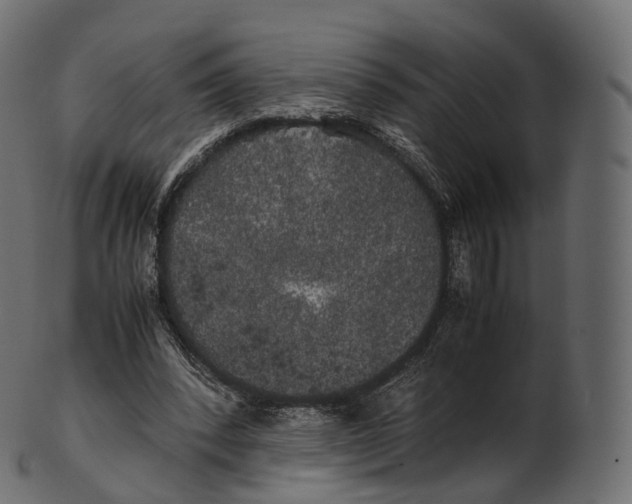 X0000100490392200807031921