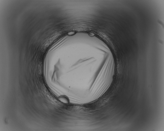 X0000100490393200807031921