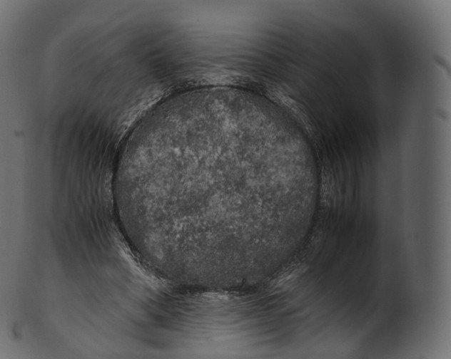 X0000100490394200807031921