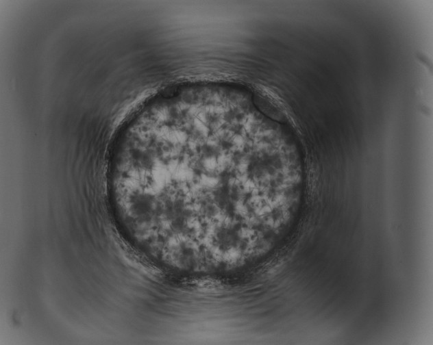 X0000100490395200807031921