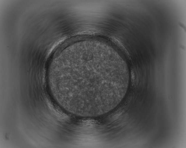 X0000100490396200807031921