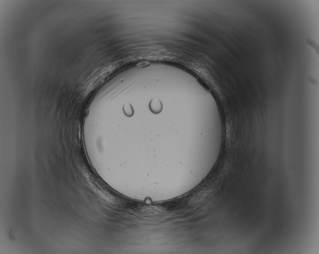 X0000100490397200807031921