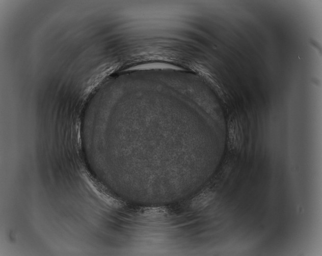 X0000100490398200807031921