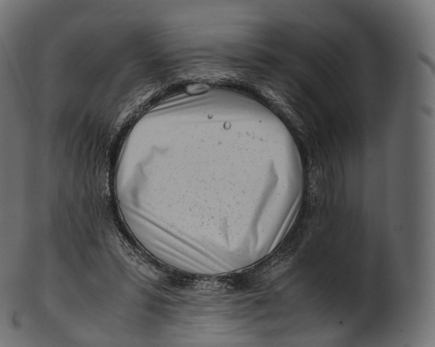 X0000100490399200807031921