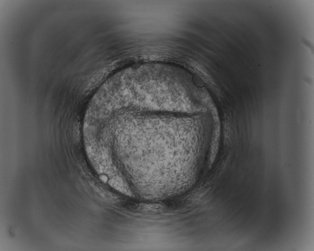 X0000100490401200807031921