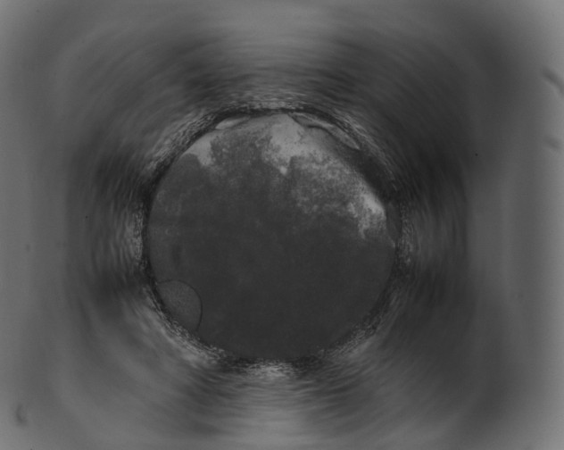 X0000100490402200807031921