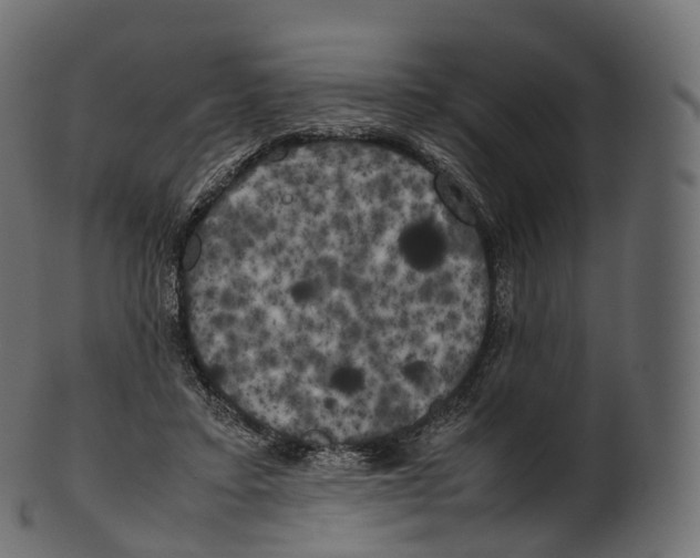 X0000100490403200807031921