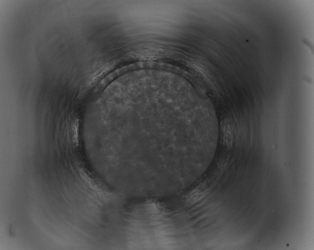 X0000100490404200807031921