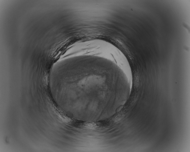 X0000100490405200807031921