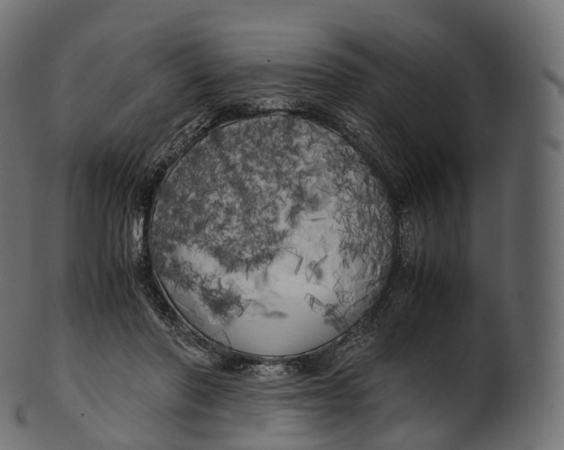 X0000100490406200807031921