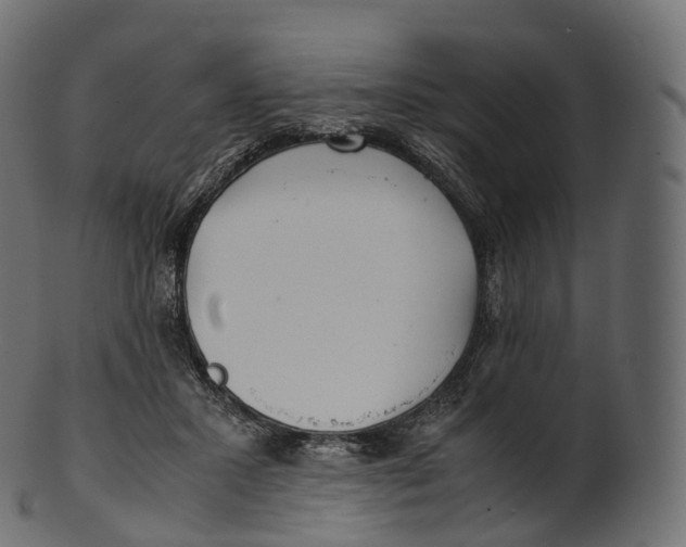 X0000100490407200807031921