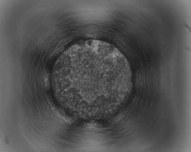 X0000100490408200807031921