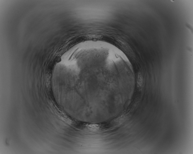 X0000100490409200807031921