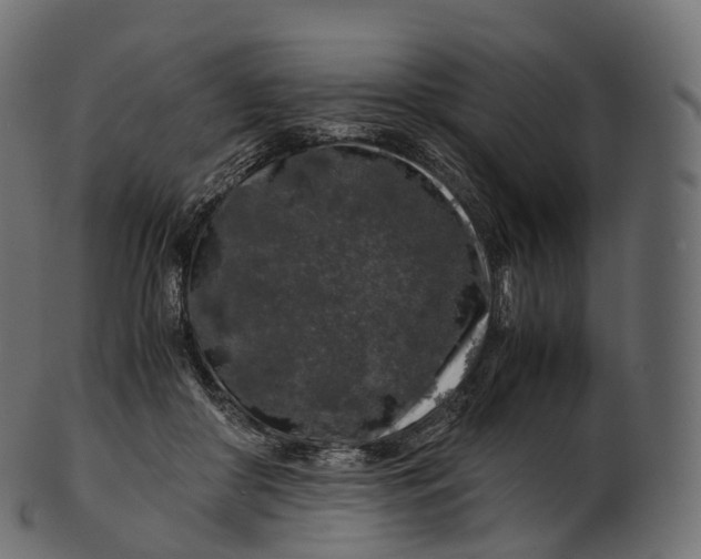 X0000100490410200807031921