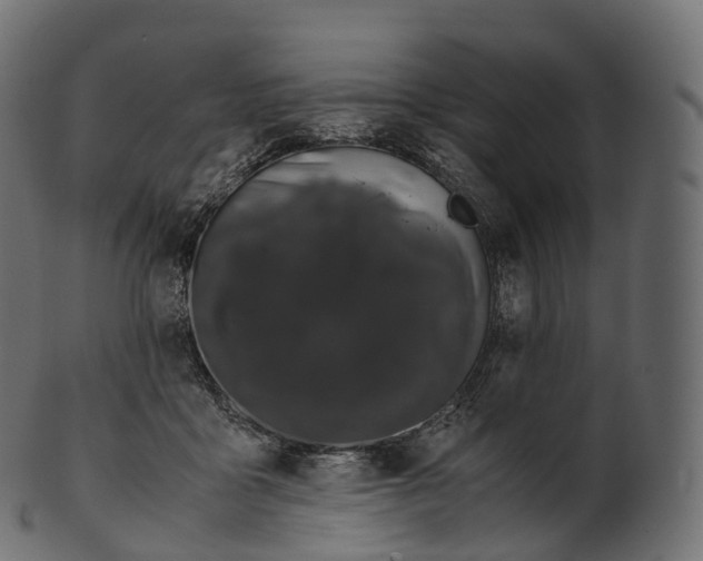 X0000100490411200807031921