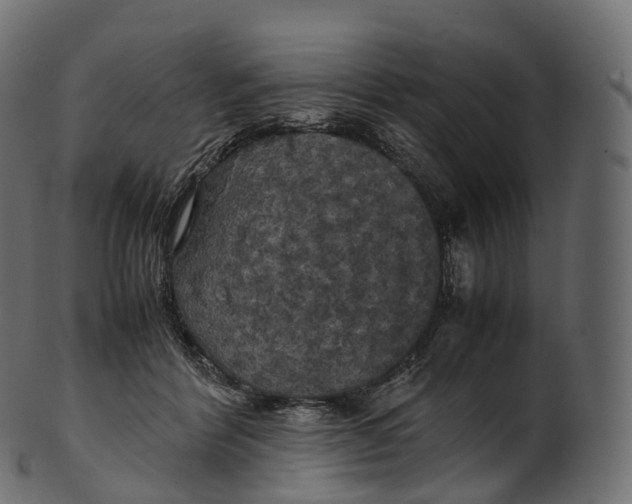 X0000100490412200807031921