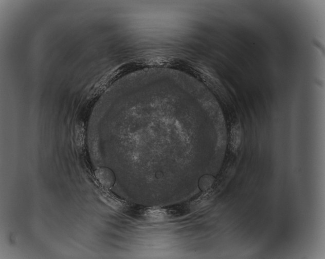 X0000100490413200807031921