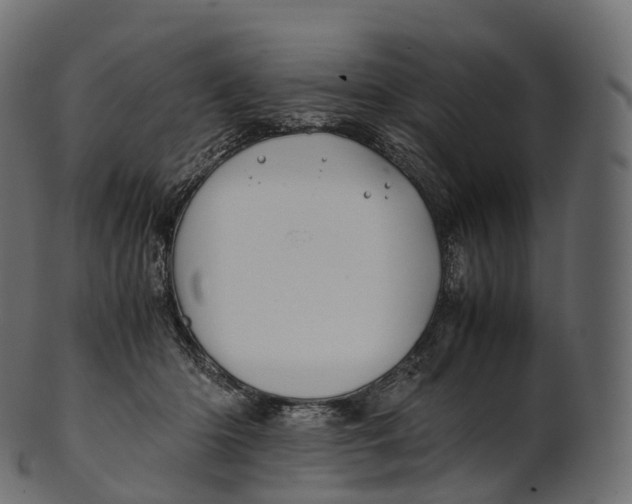 X0000100490414200807031921